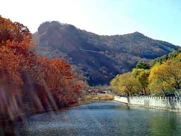 澳彩资料免费长期公开，莱芜市委书记